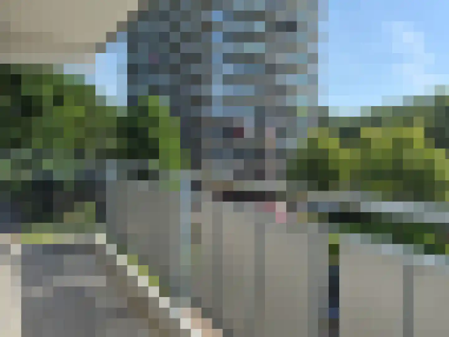 Lupinesingel 274 Alphen aan den Rijn thumbnail 12