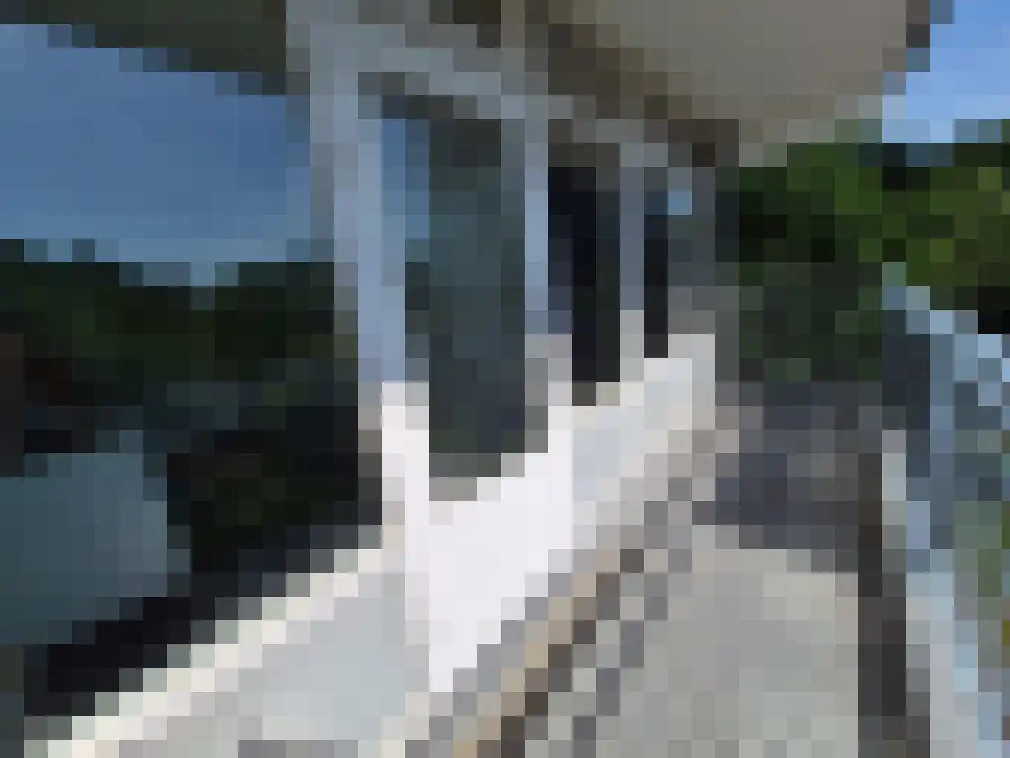 Lupinesingel 274 Alphen aan den Rijn thumbnail 16