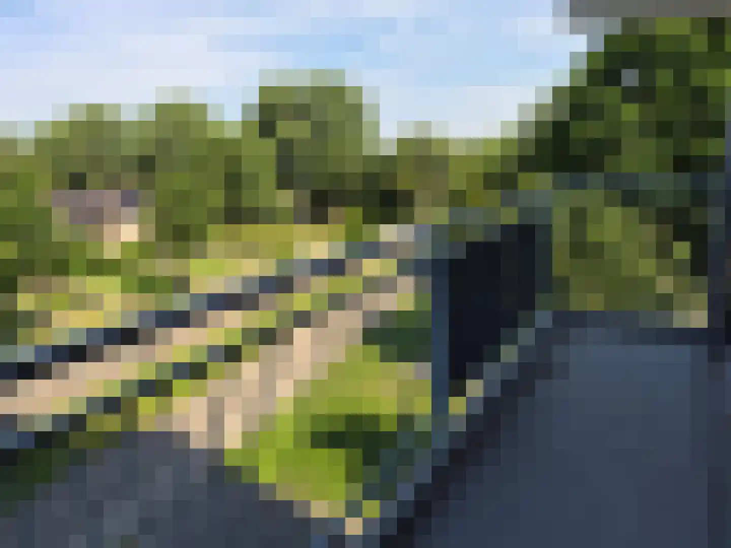 Lupinesingel 274 Alphen aan den Rijn thumbnail 26