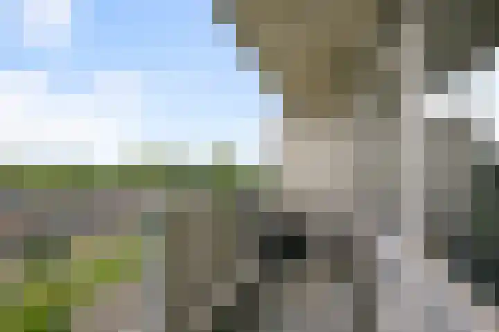 Lupinesingel 298 Alphen aan den Rijn thumbnail 10