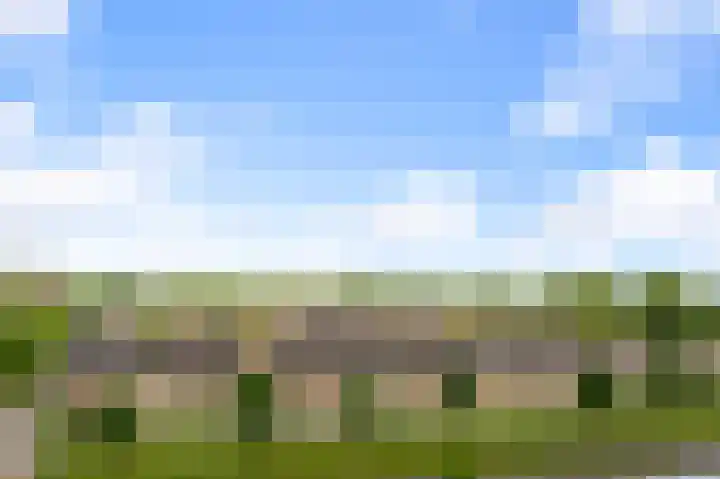 Lupinesingel 298 Alphen aan den Rijn thumbnail 11