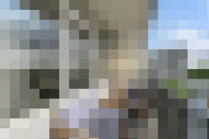 Lupinesingel 298 Alphen aan den Rijn thumbnail 14