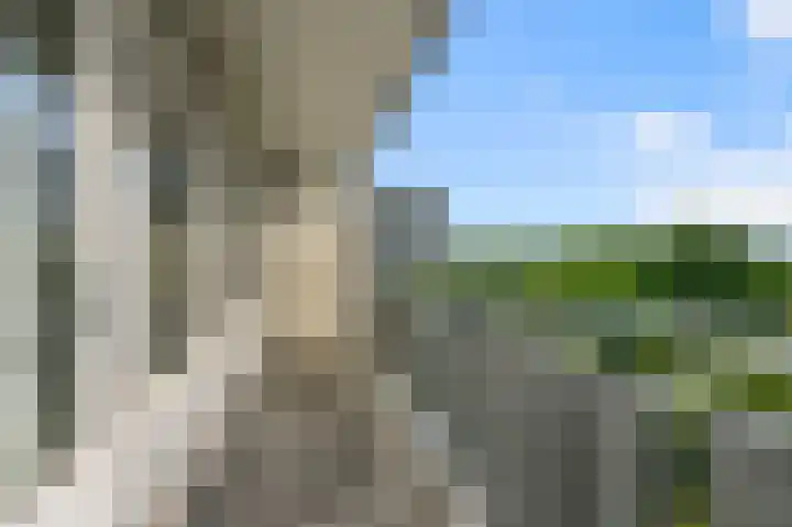 Lupinesingel 298 Alphen aan den Rijn thumbnail 23