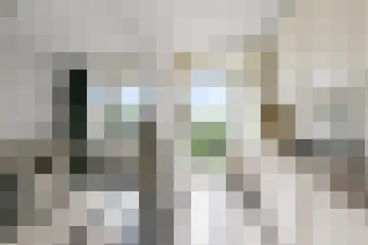 Lupinesingel 298 Alphen aan den Rijn thumbnail 4