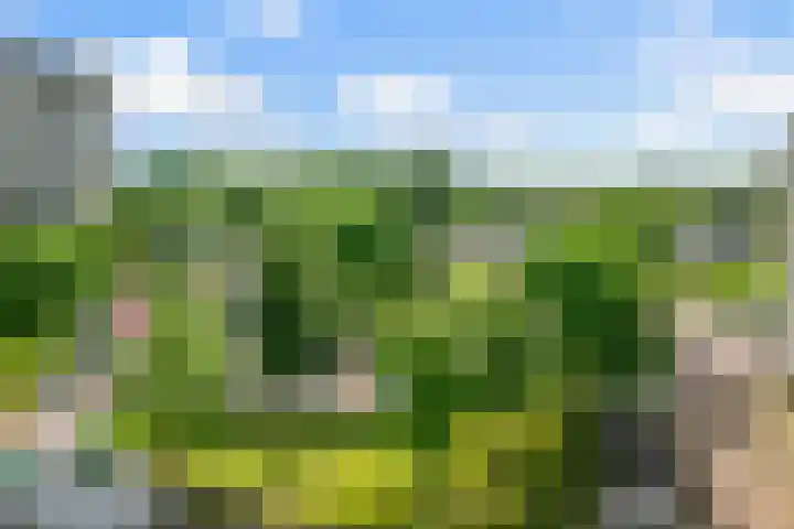 Lupinesingel 298 Alphen aan den Rijn thumbnail 5