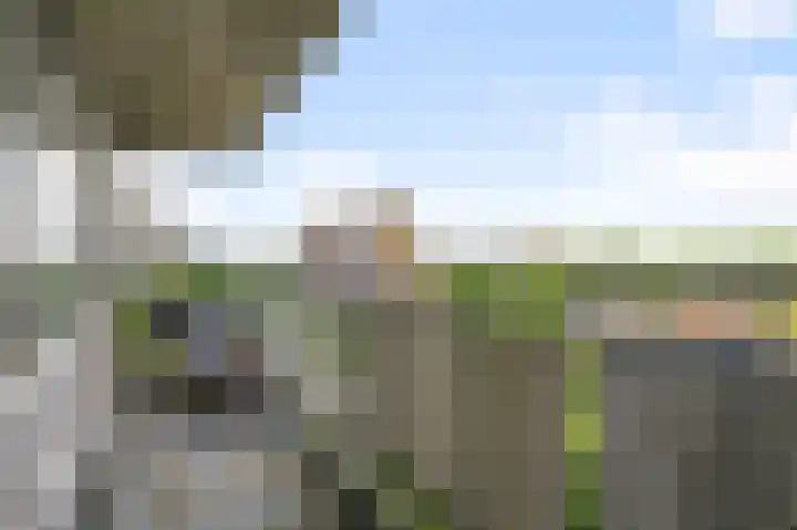 Lupinesingel 298 Alphen aan den Rijn thumbnail 9