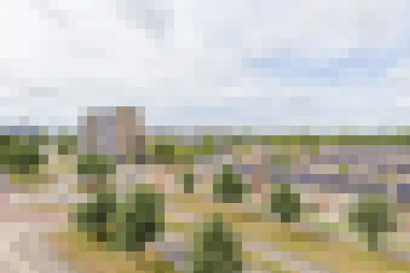 Lupinesingel 304 Alphen aan den Rijn thumbnail 16