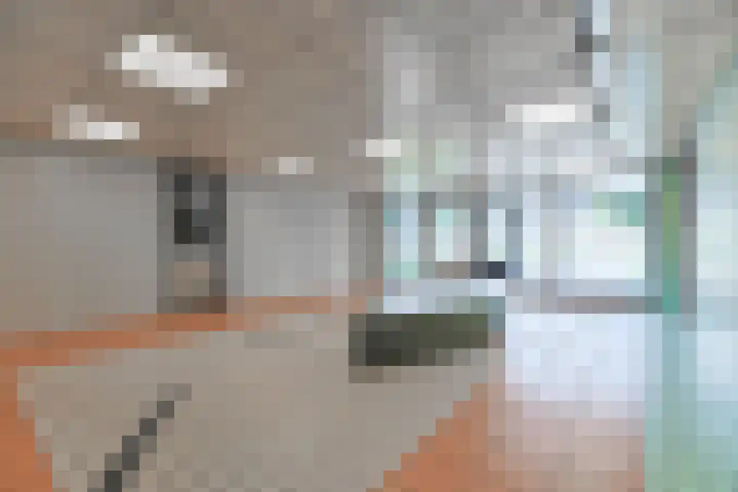 Lupinesingel 304 Alphen aan den Rijn thumbnail 5