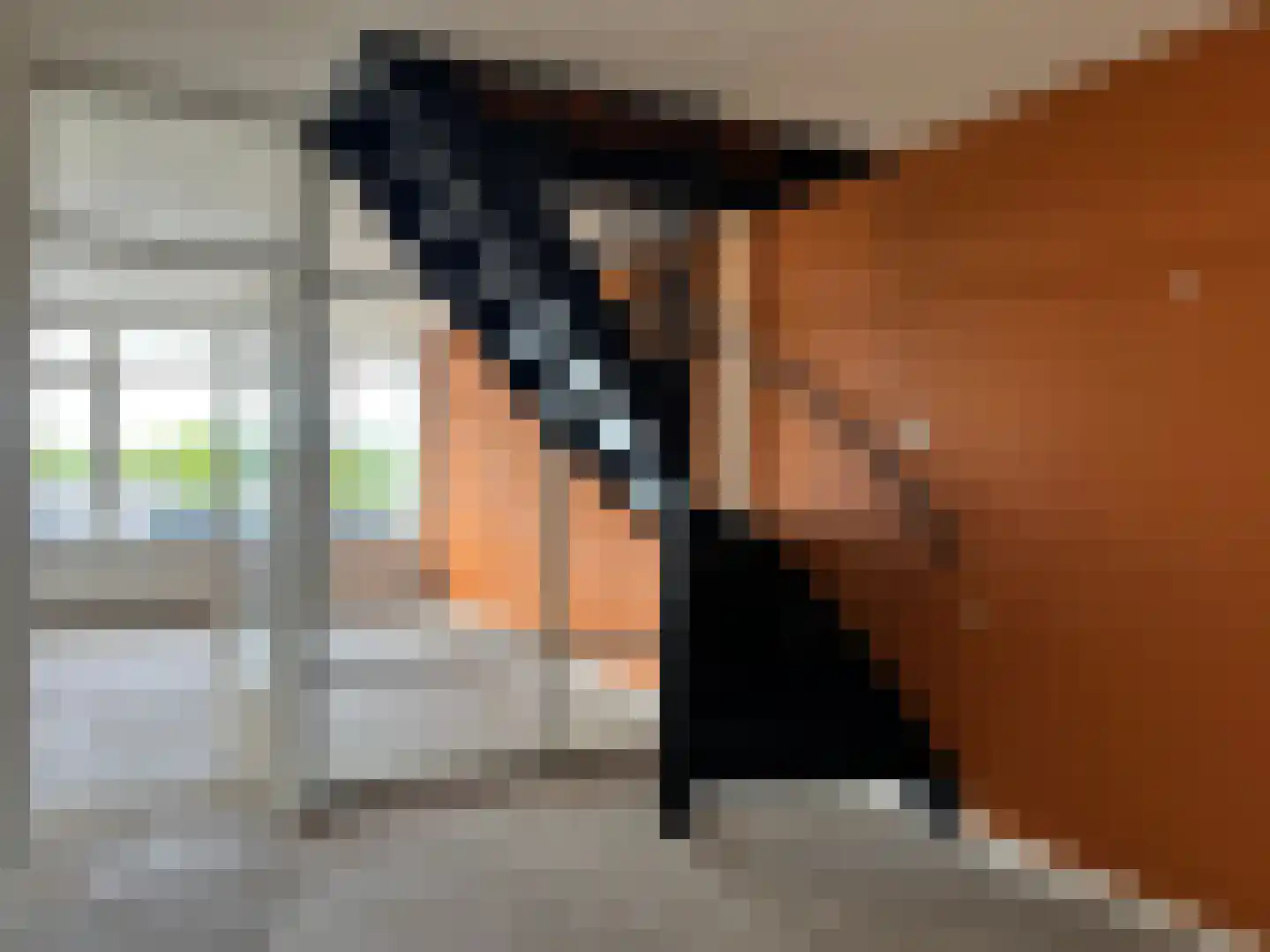 Lupinesingel 326 Alphen aan den Rijn thumbnail 9