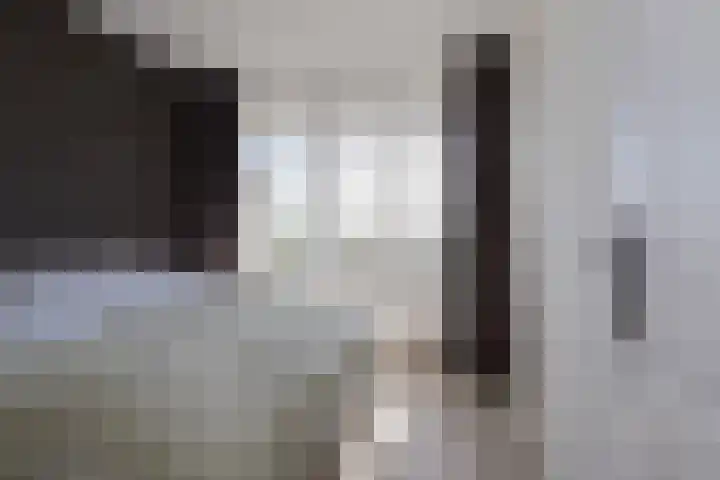 Lupinesingel 344 Alphen aan den Rijn thumbnail 14