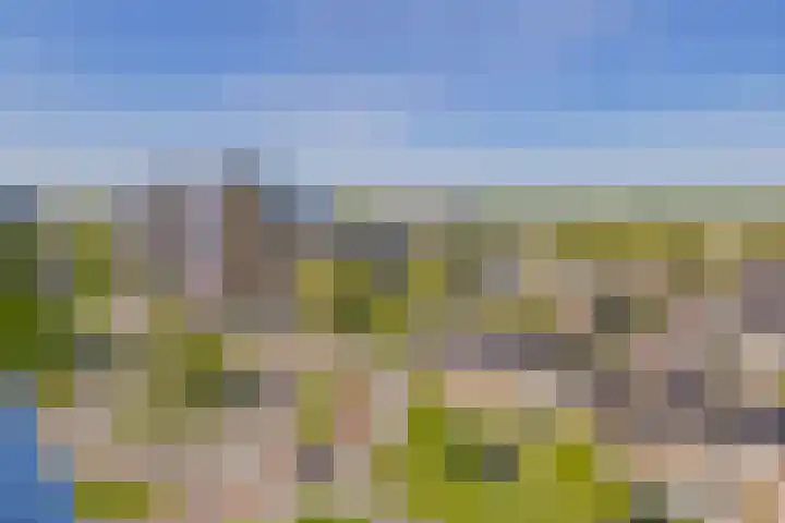 Lupinesingel 344 Alphen aan den Rijn thumbnail 22