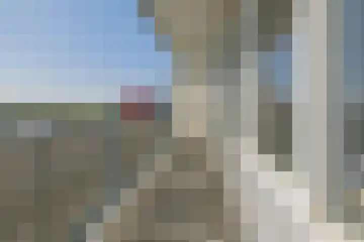 Lupinesingel 344 Alphen aan den Rijn thumbnail 23