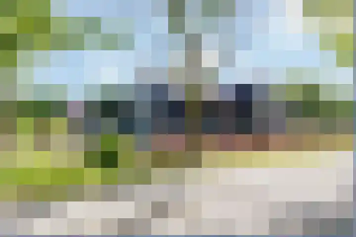 Lupinesingel 344 Alphen aan den Rijn thumbnail 26