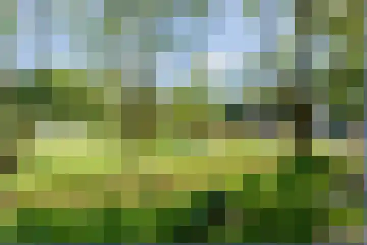 Lupinesingel 344 Alphen aan den Rijn thumbnail 28