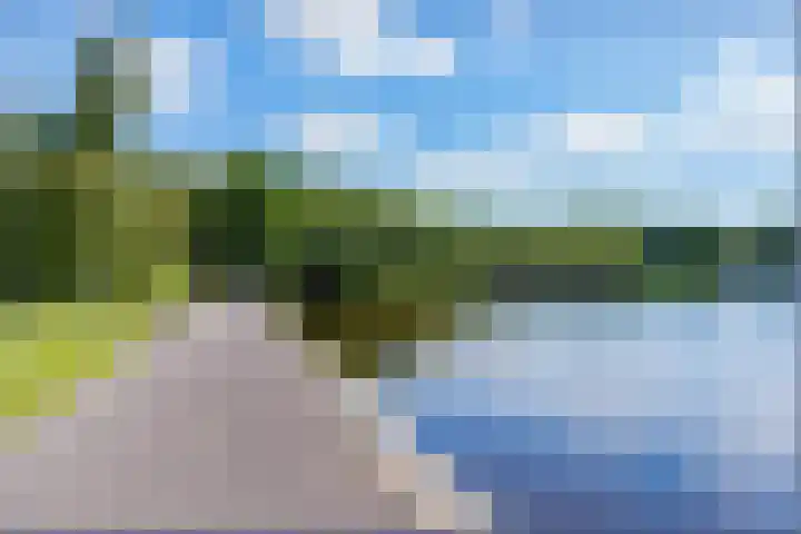 Lupinesingel 344 Alphen aan den Rijn thumbnail 29