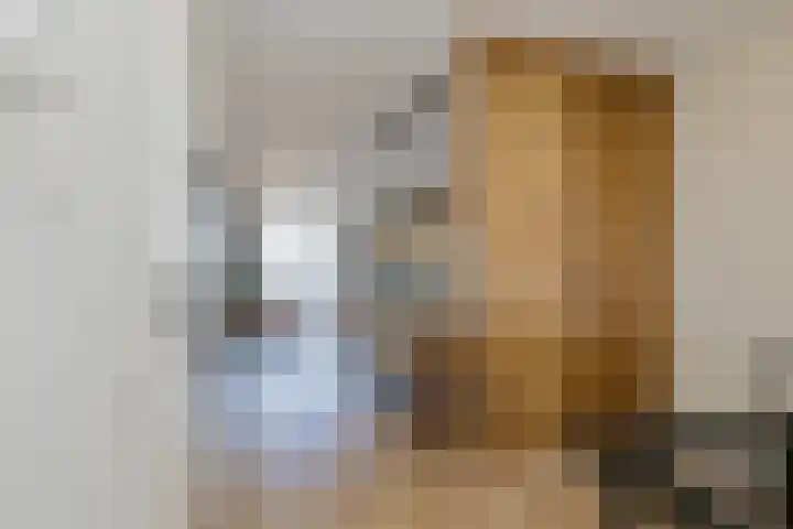 Lupinesingel 344 Alphen aan den Rijn thumbnail 4