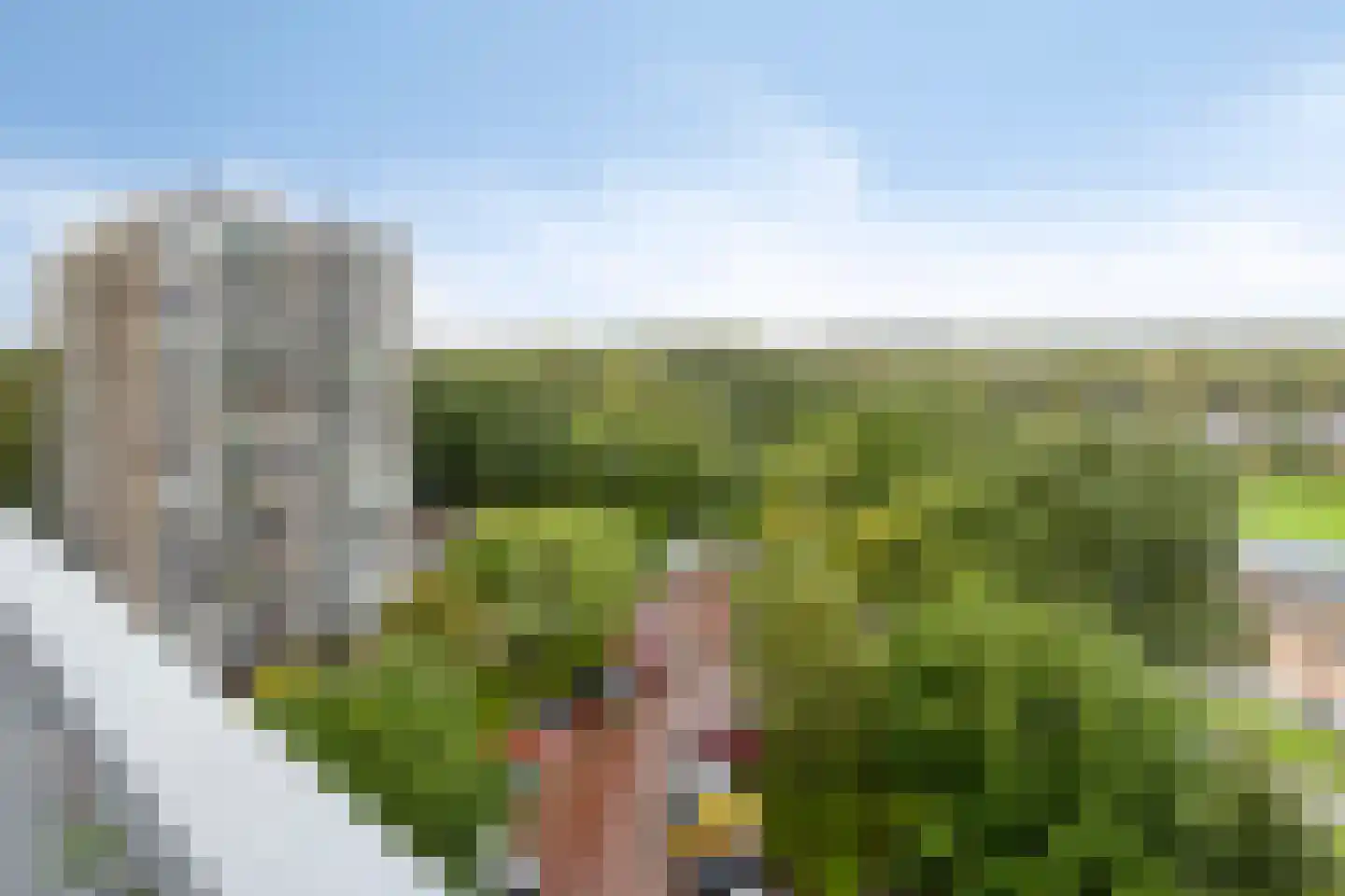Lupinesingel 350 Alphen aan den Rijn thumbnail 21