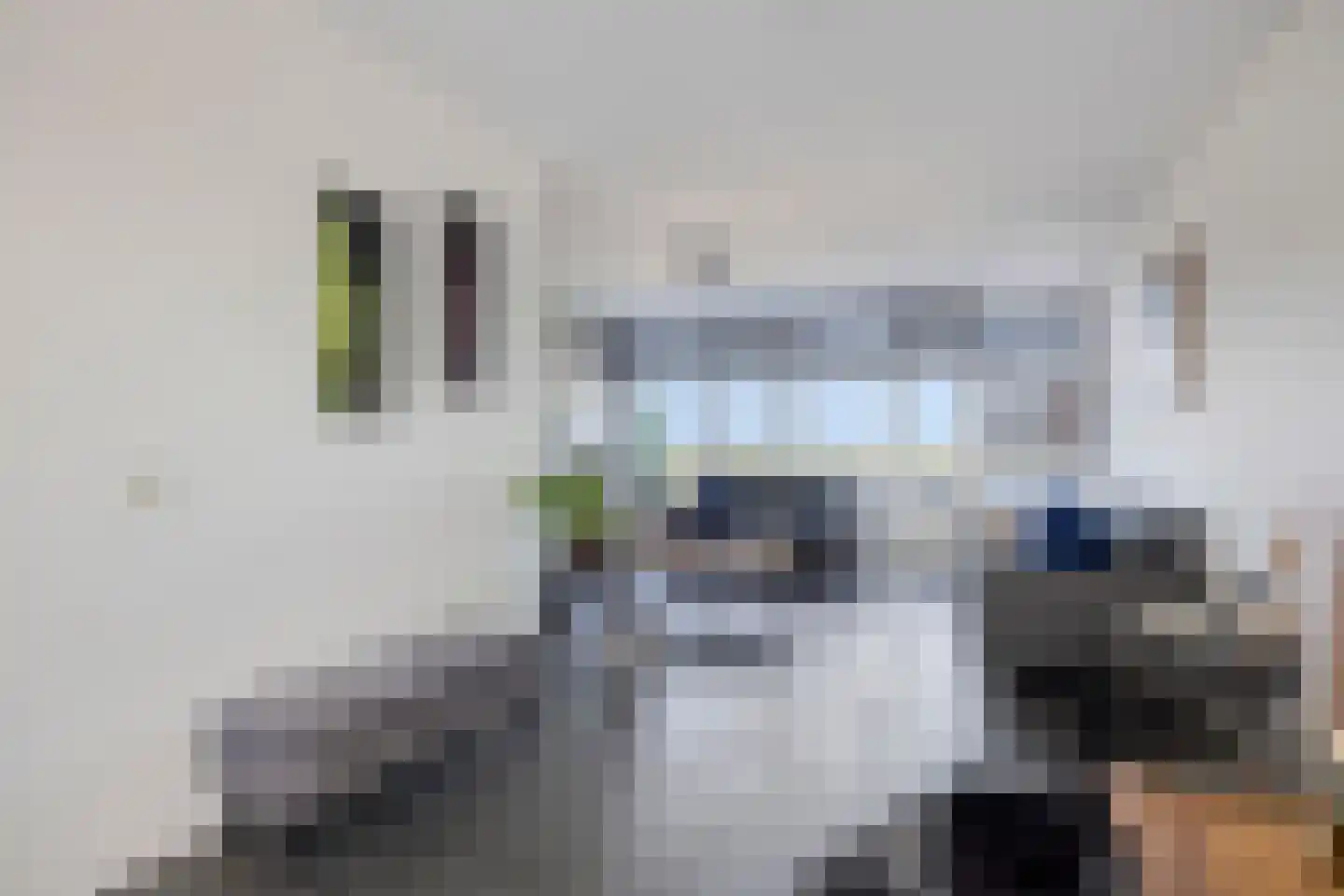 Lupinesingel 354 Alphen aan den Rijn thumbnail 14
