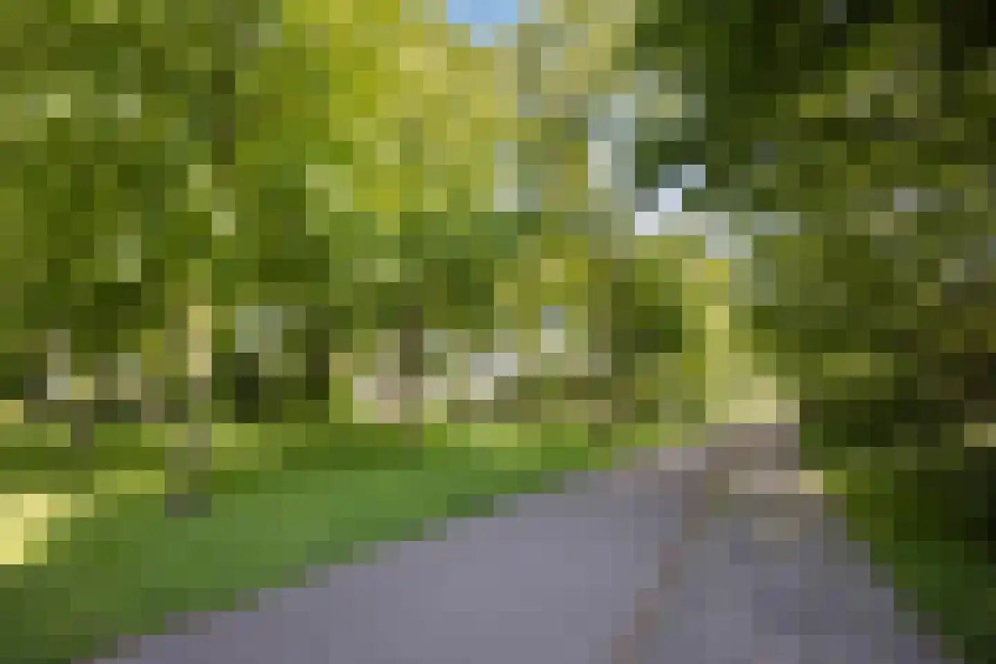 Lupinesingel 354 Alphen aan den Rijn thumbnail 34