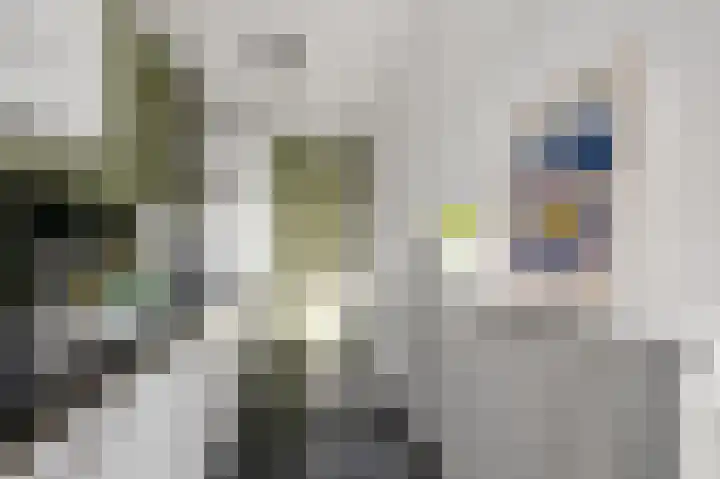 Lupinesingel 366 Alphen aan den Rijn thumbnail 10
