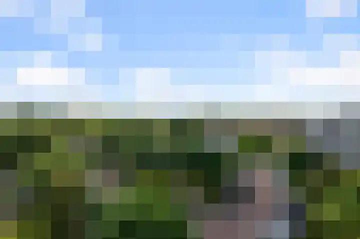 Lupinesingel 366 Alphen aan den Rijn thumbnail 17
