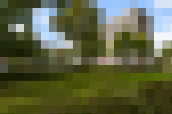 Lupinesingel 366 Alphen aan den Rijn thumbnail 20