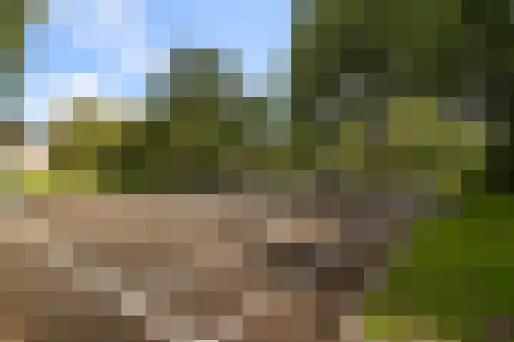 Lupinesingel 366 Alphen aan den Rijn thumbnail 21
