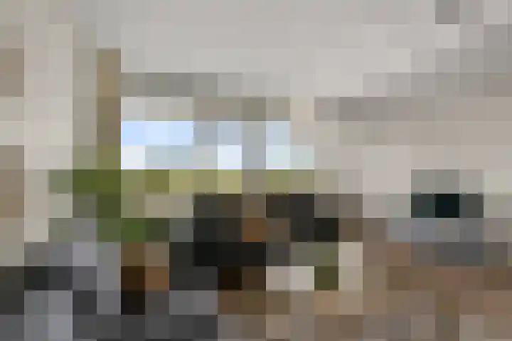 Lupinesingel 366 Alphen aan den Rijn thumbnail 4