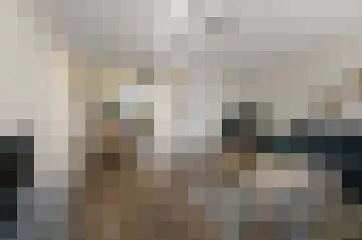 Lupinesingel 366 Alphen aan den Rijn thumbnail 5