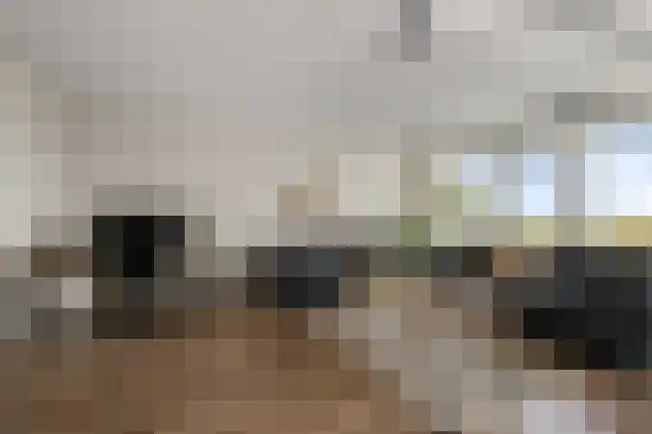 Lupinesingel 366 Alphen aan den Rijn thumbnail 6