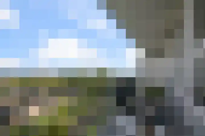 Lupinesingel 366 Alphen aan den Rijn thumbnail 7