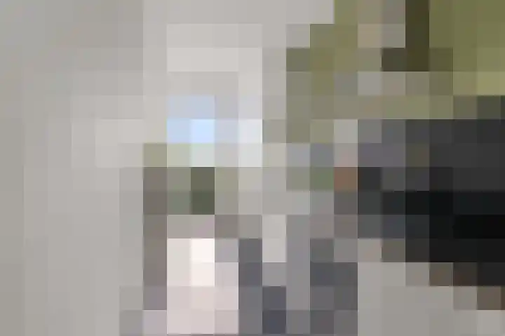 Lupinesingel 366 Alphen aan den Rijn thumbnail 9