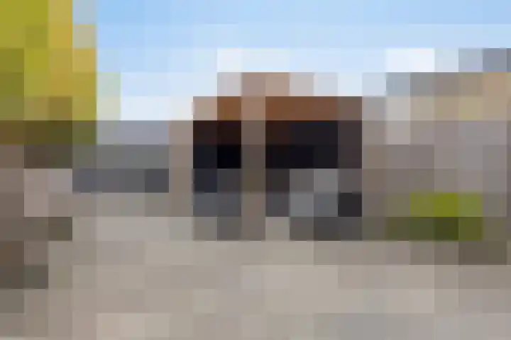 Lupinesingel 41 Badhoevedorp thumbnail 37