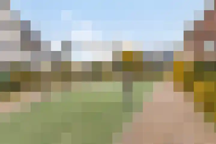 Lupinesingel 41 Badhoevedorp thumbnail 42