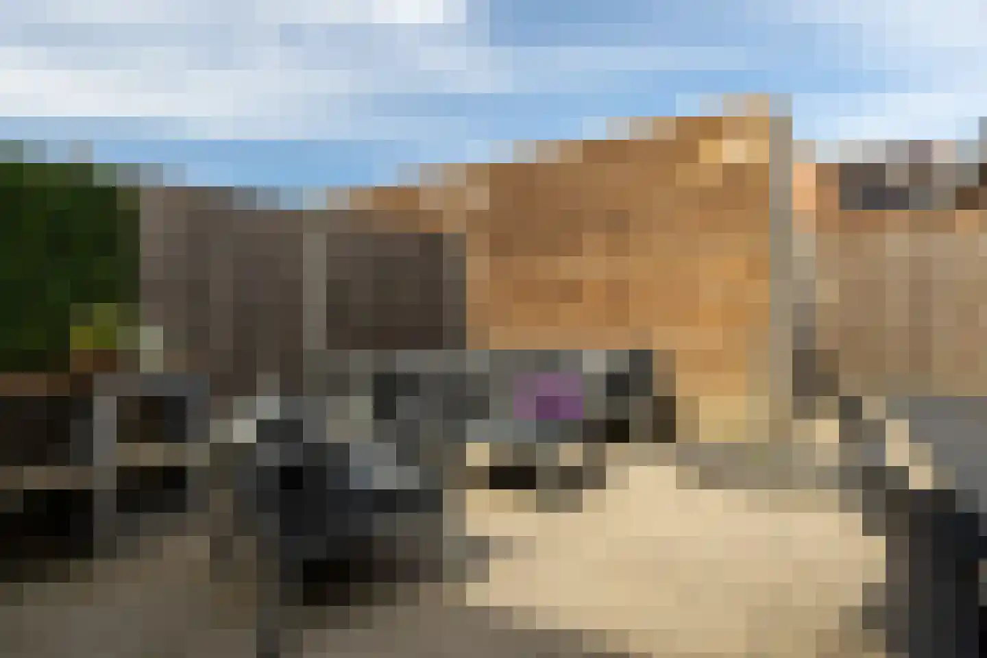 Lupinesingel 59 Alphen aan den Rijn thumbnail 15