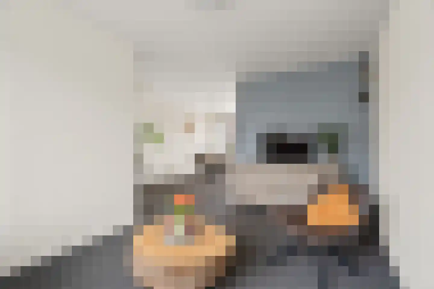 Lupinestraat 10 Nieuwegein thumbnail 5