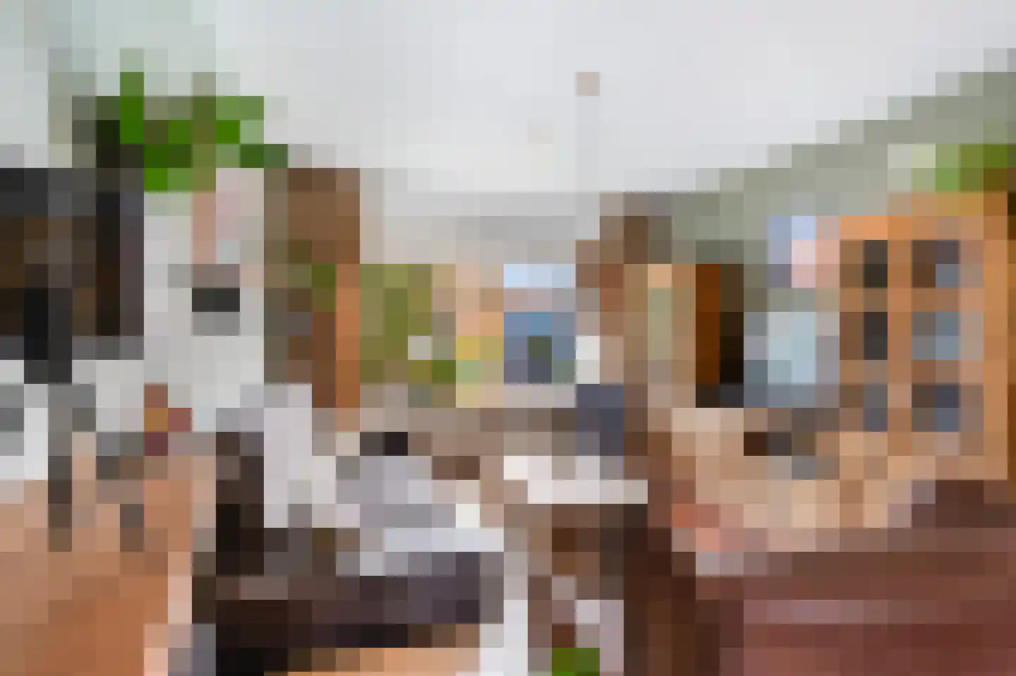 Lupinestraat 12 Capelle aan den IJssel thumbnail 15