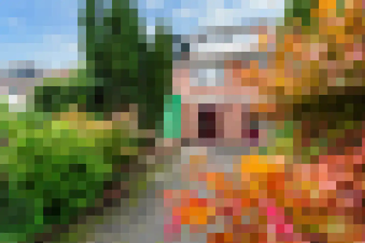 Lupinestraat 12 Capelle aan den IJssel thumbnail 24