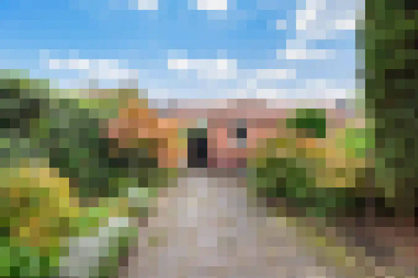 Lupinestraat 12 Capelle aan den IJssel thumbnail 26