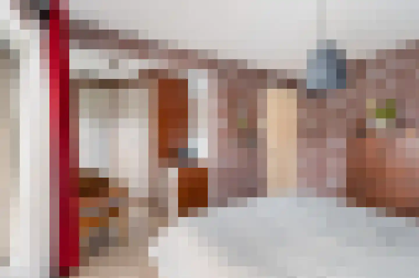 Lupinestraat 12 Capelle aan den IJssel thumbnail 32