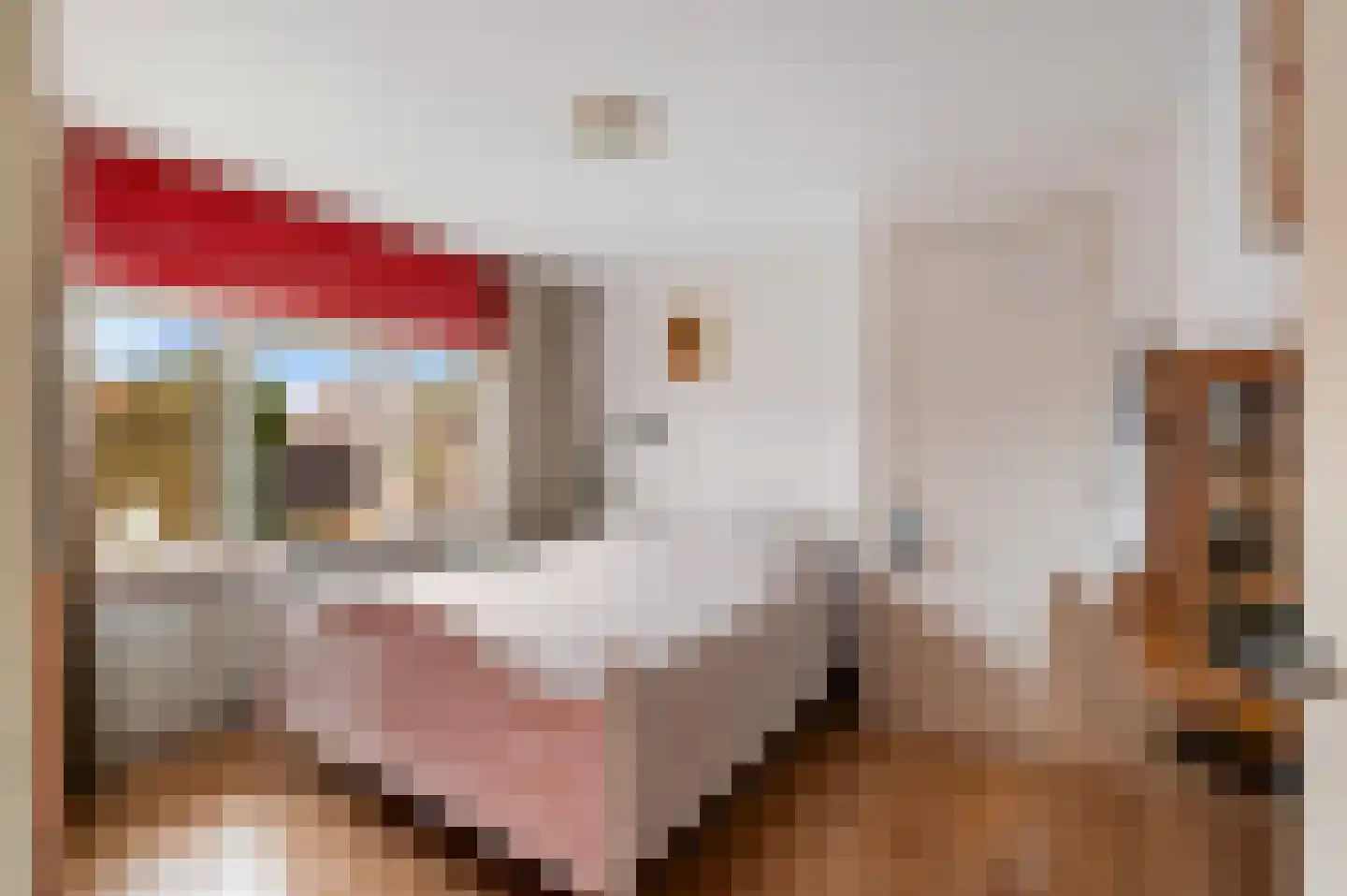 Lupinestraat 12 Capelle aan den IJssel thumbnail 36