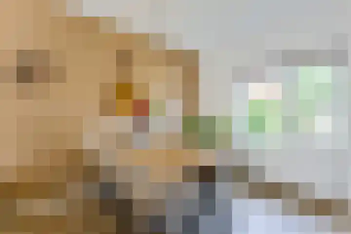 Lupinestraat 16 Hilversum thumbnail 11