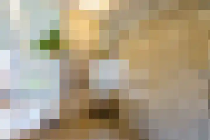 Lupinestraat 16 Hilversum thumbnail 18