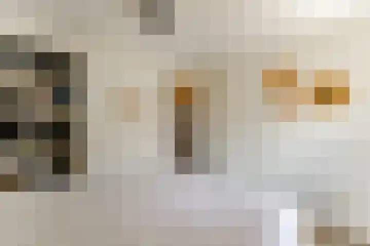 Lupinestraat 16 Hilversum thumbnail 23