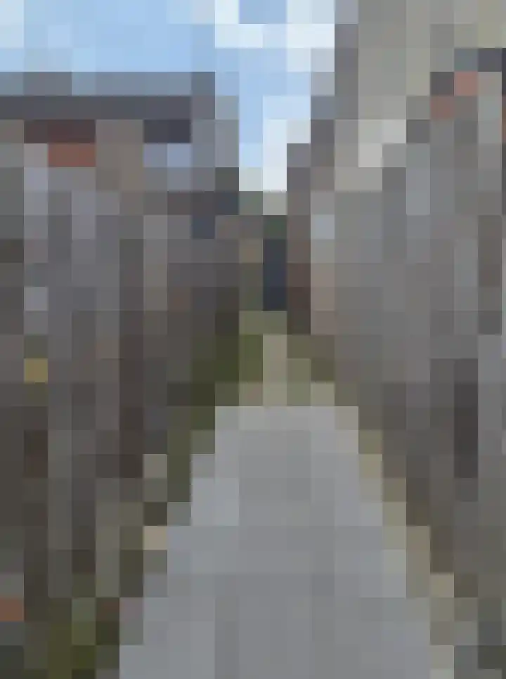 Lupinestraat 198 Kerkrade thumbnail 4