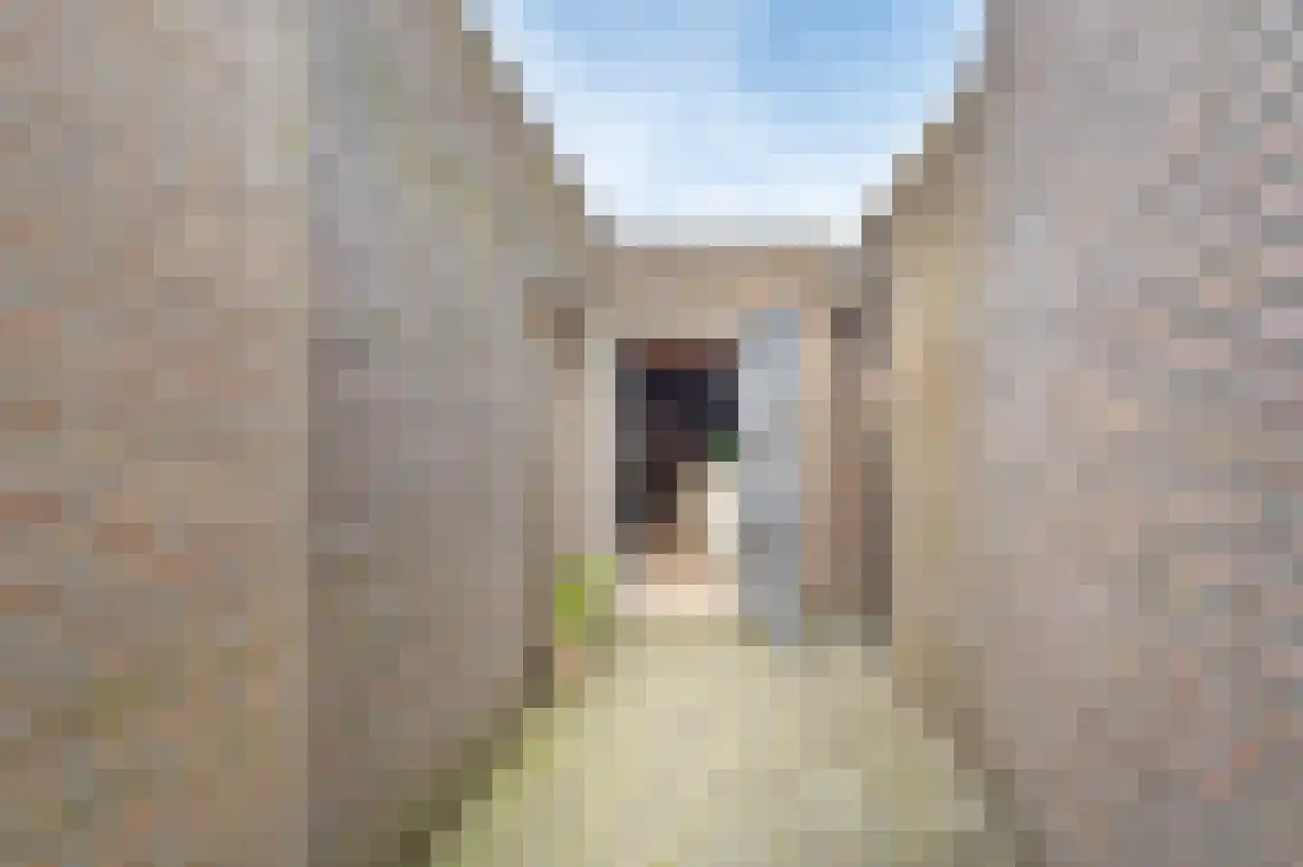 Lupinestraat 21 Sint-Oedenrode thumbnail 31