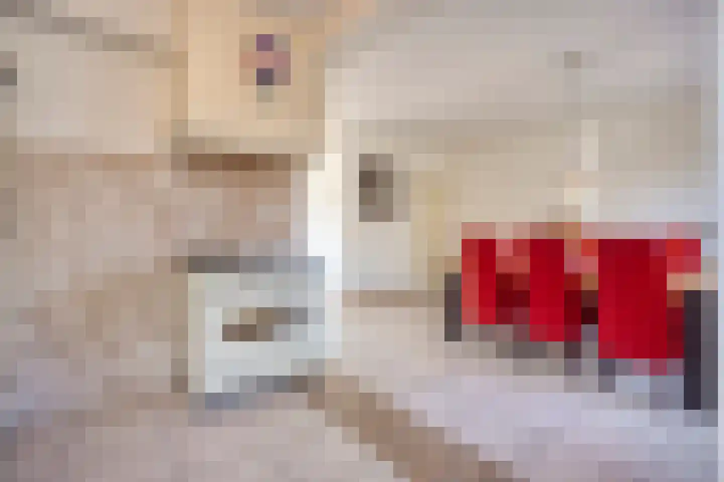 Lupinestraat 24 Riethoven thumbnail 20