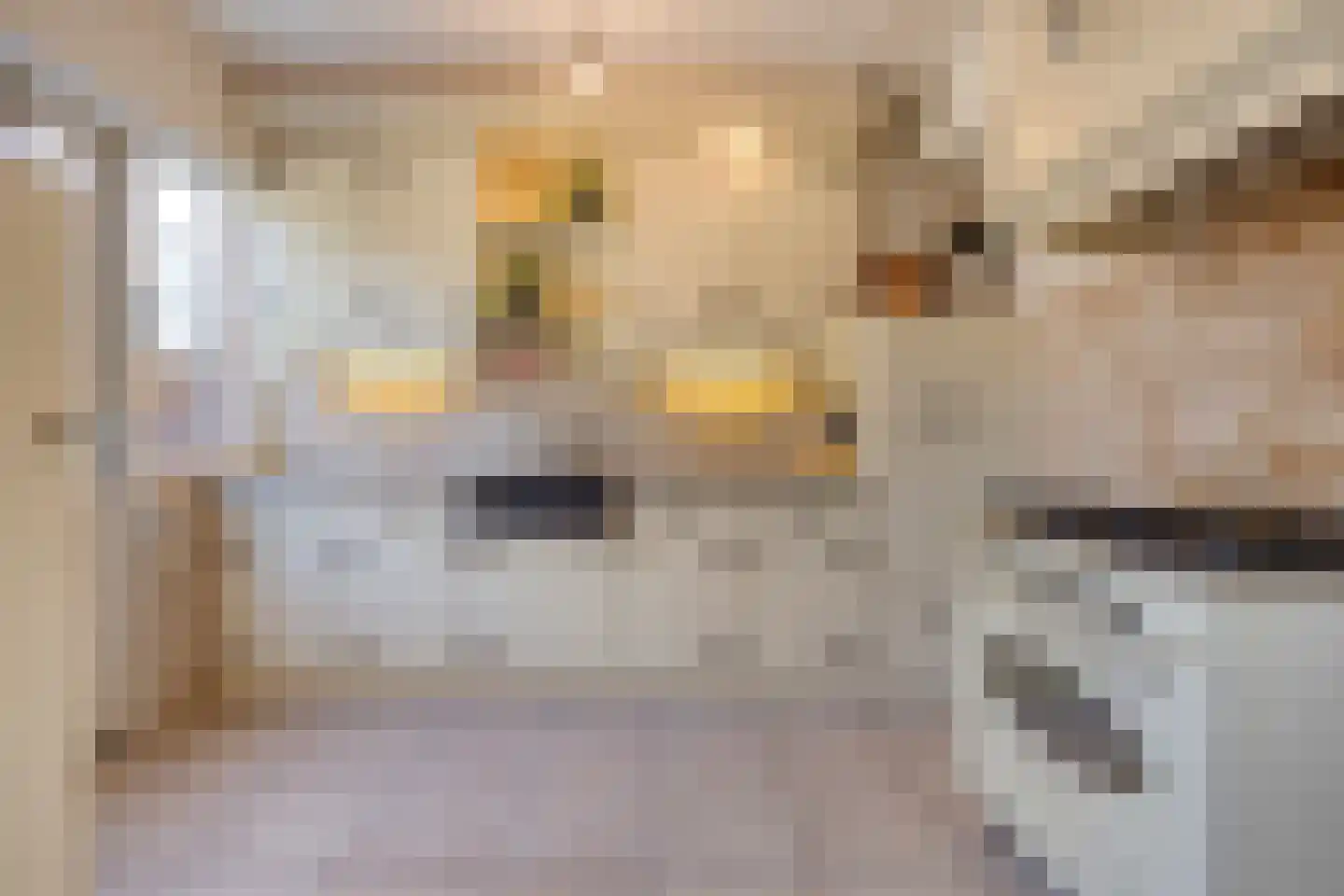 Lupinestraat 24 Riethoven thumbnail 21