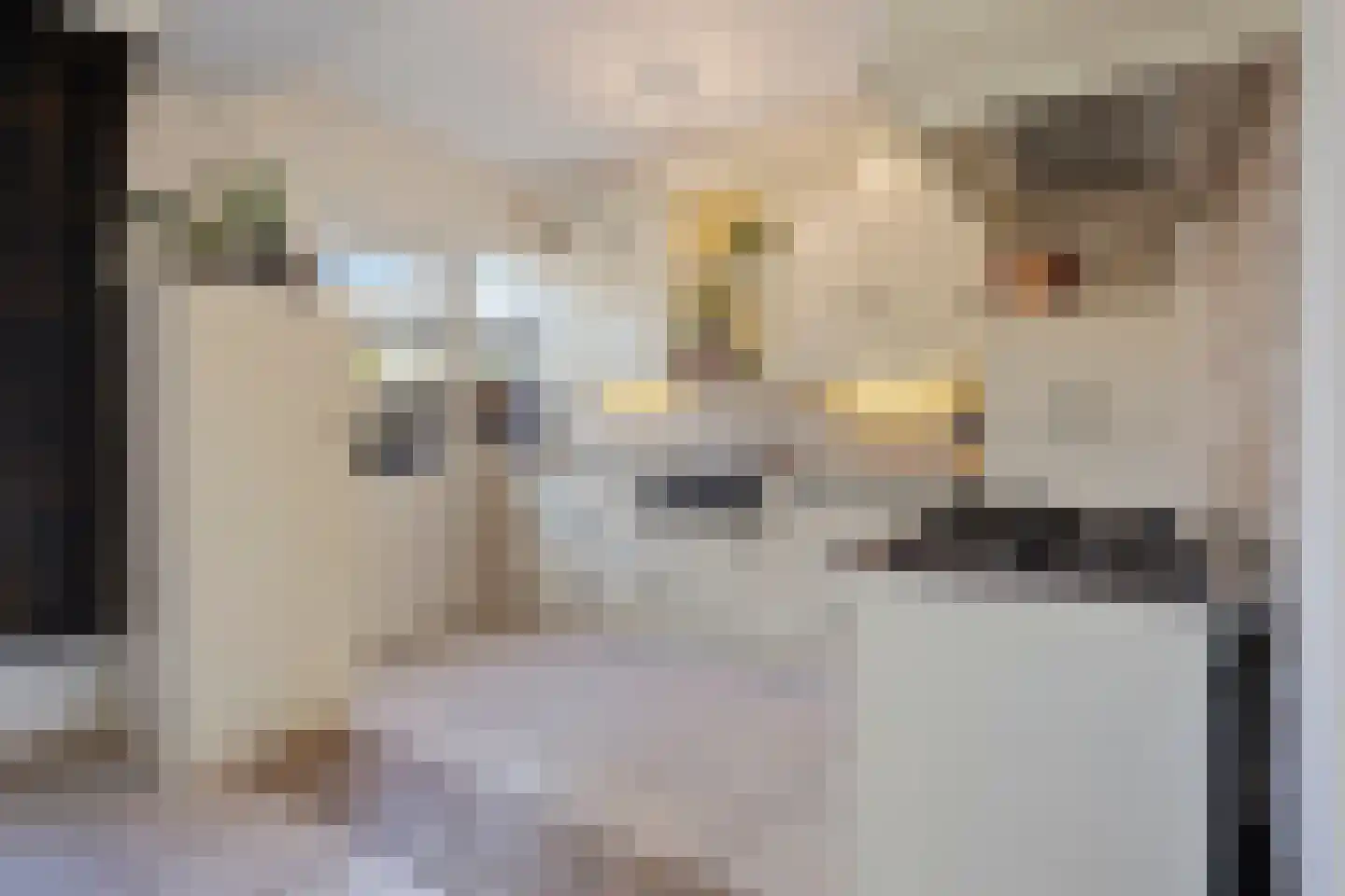 Lupinestraat 24 Riethoven thumbnail 23