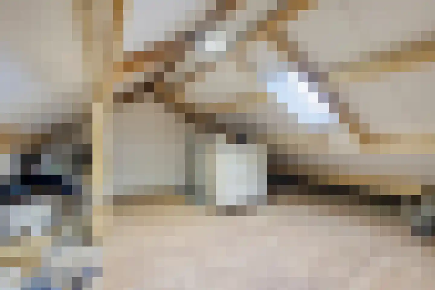 Lupinestraat 24 Riethoven thumbnail 38